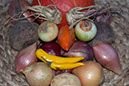 Besonderes Bild vom Betrieb