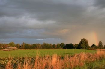 Bild vom Hof und den Feldern